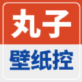 丸子壁纸控官方版下载