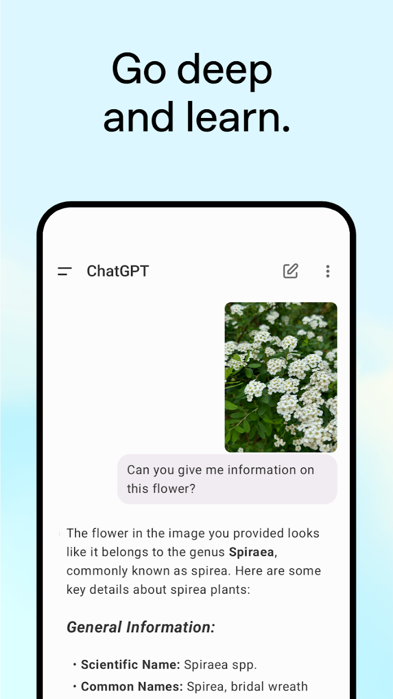 chatgpt中文版