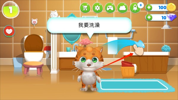 我的皮皮猫