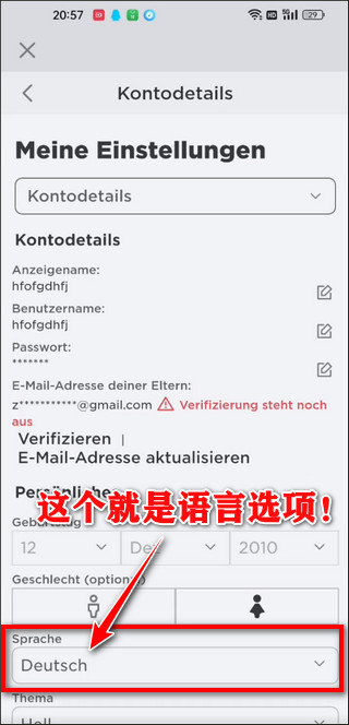 罗布乐思中文版