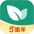 青藤之恋