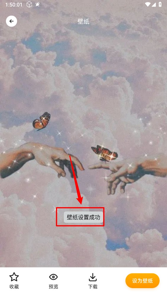TrAni壁纸