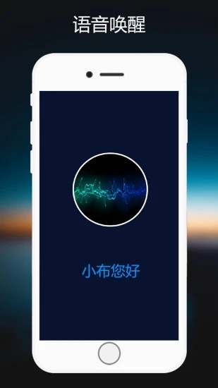 小布指令