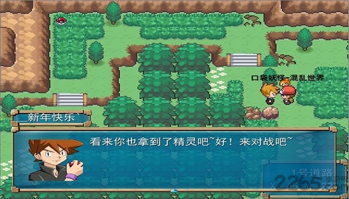 口袋妖怪混乱世界