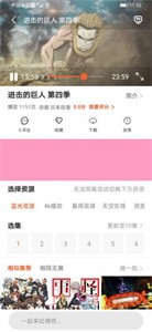 追番猫