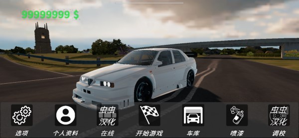 真实汽车驾驶