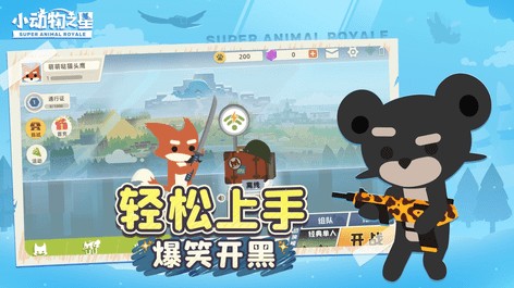 小动物之星