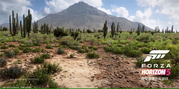 地平线5移植版