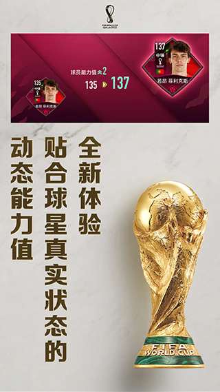 FIFA世界杯