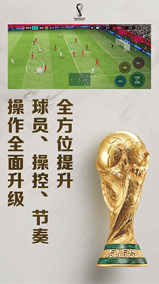 FIFA世界杯