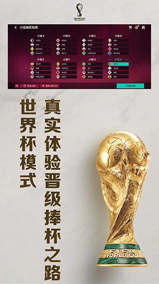 FIFA世界杯