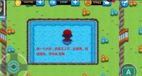精灵宝贝