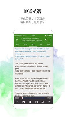 bbc英语app