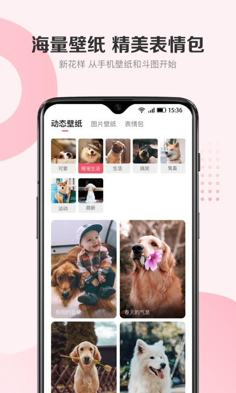 68宠物官方版app