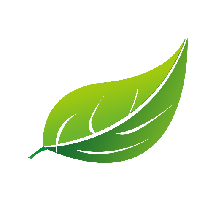 易哈佛app